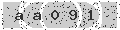 verify code