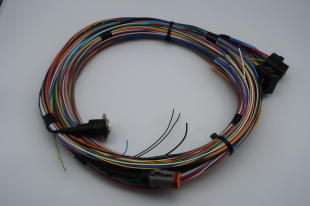 RAYCHEM 44 SPEC CUT TO FIT MOTEC 2.5M PDM30 LOOM