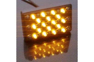 CARTEK DUAL FUNCTION RAIN LIGHT