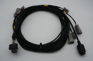 C125 PRO DATA LOOM MoTeC 