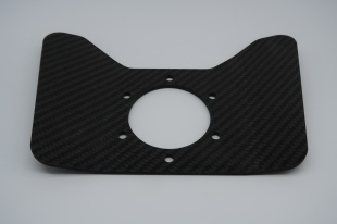 CARBON SWITCH PLATE CURVED