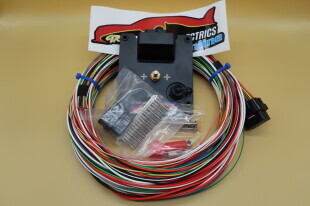 P14 POWER CONTROL MODULE (WITH CAN) WITH P14 CUT TO FIT LOOM